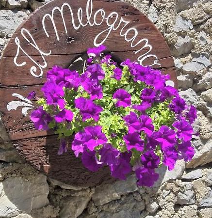 B&B Il Melograno Tortorella Zewnętrze zdjęcie