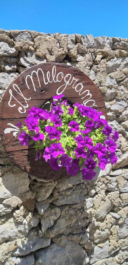 B&B Il Melograno Tortorella Zewnętrze zdjęcie