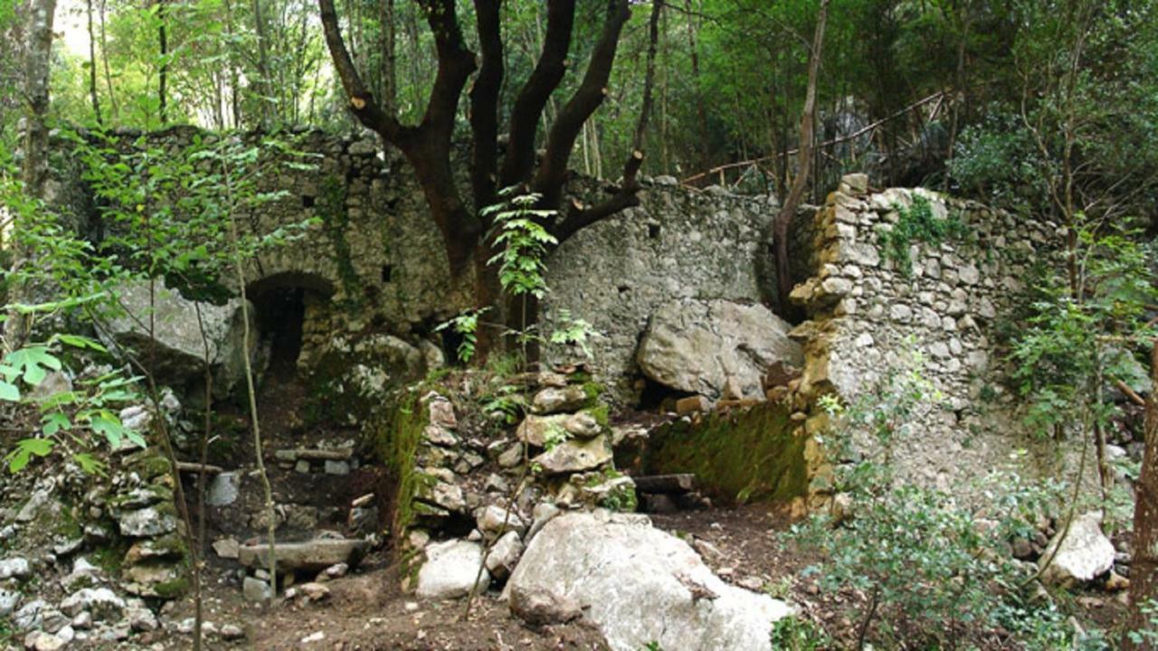 B&B Il Melograno Tortorella Zewnętrze zdjęcie