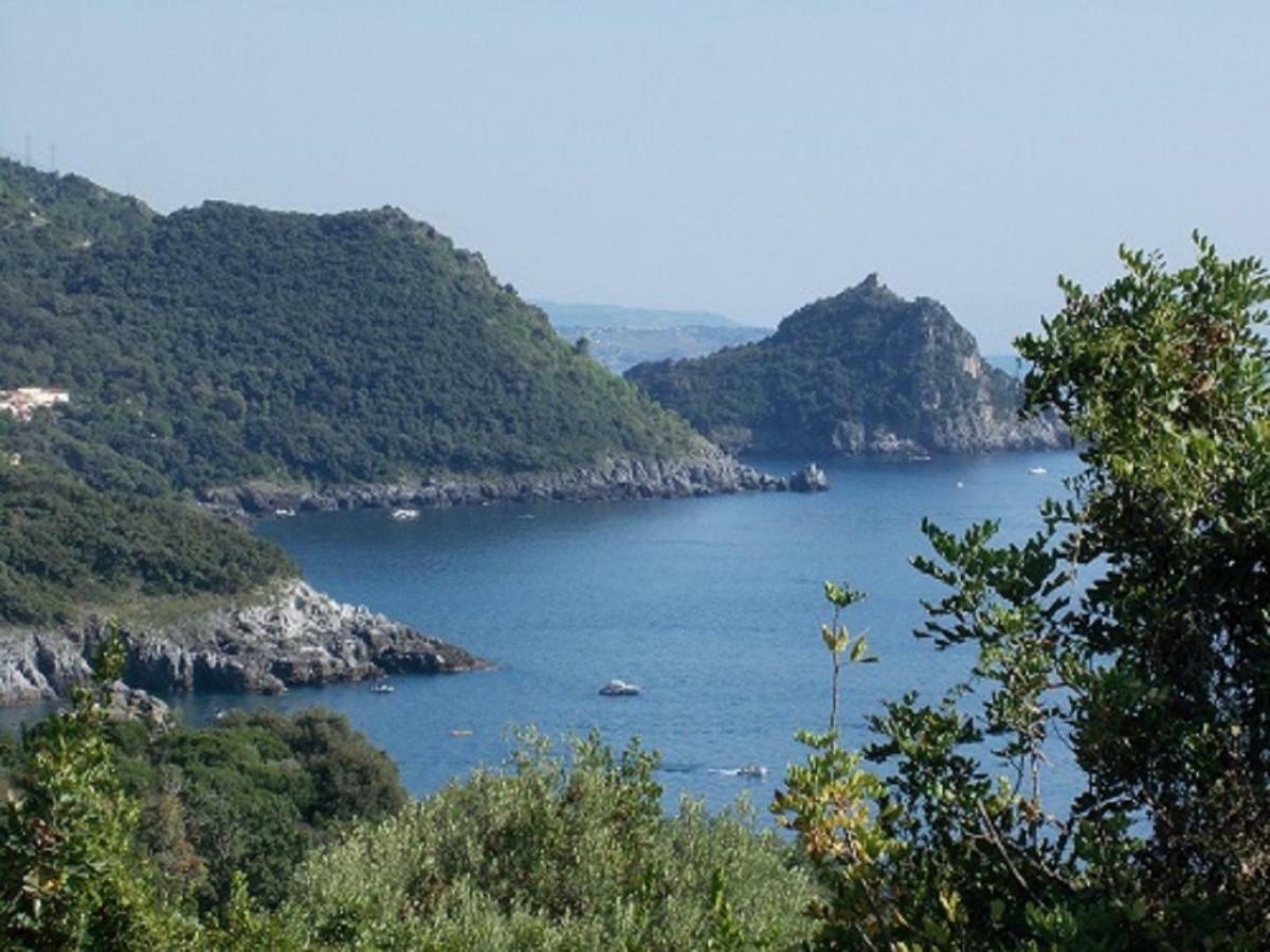 B&B Il Melograno Tortorella Zewnętrze zdjęcie
