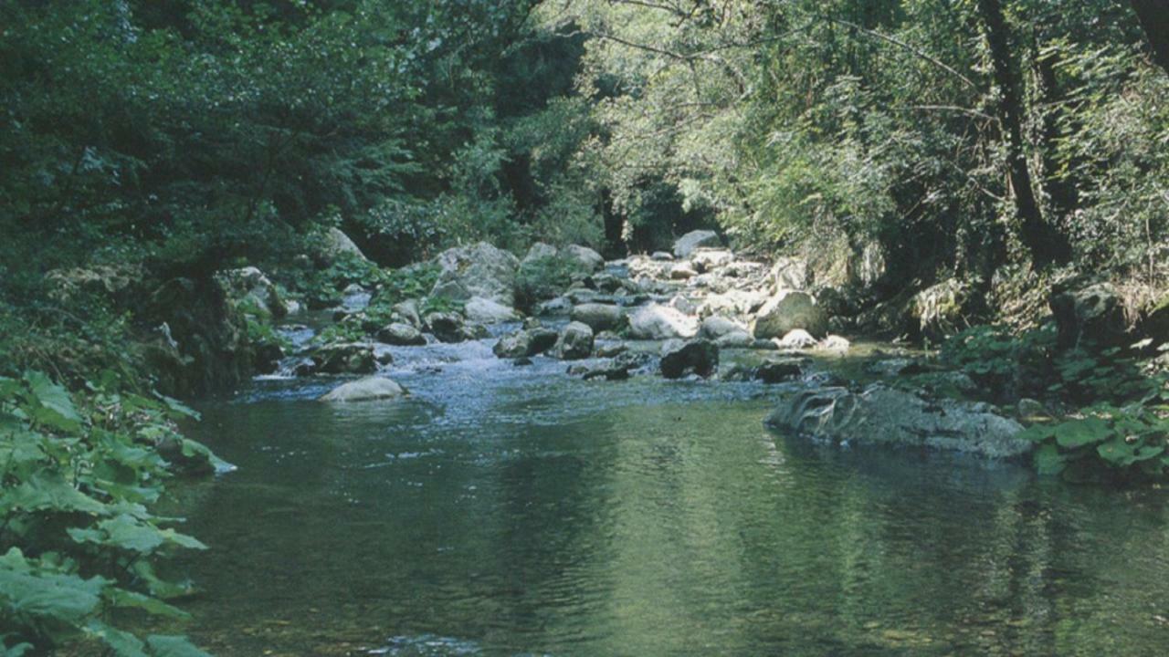 B&B Il Melograno Tortorella Zewnętrze zdjęcie
