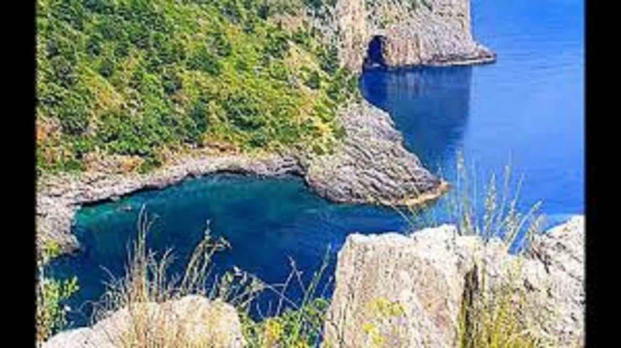 B&B Il Melograno Tortorella Zewnętrze zdjęcie