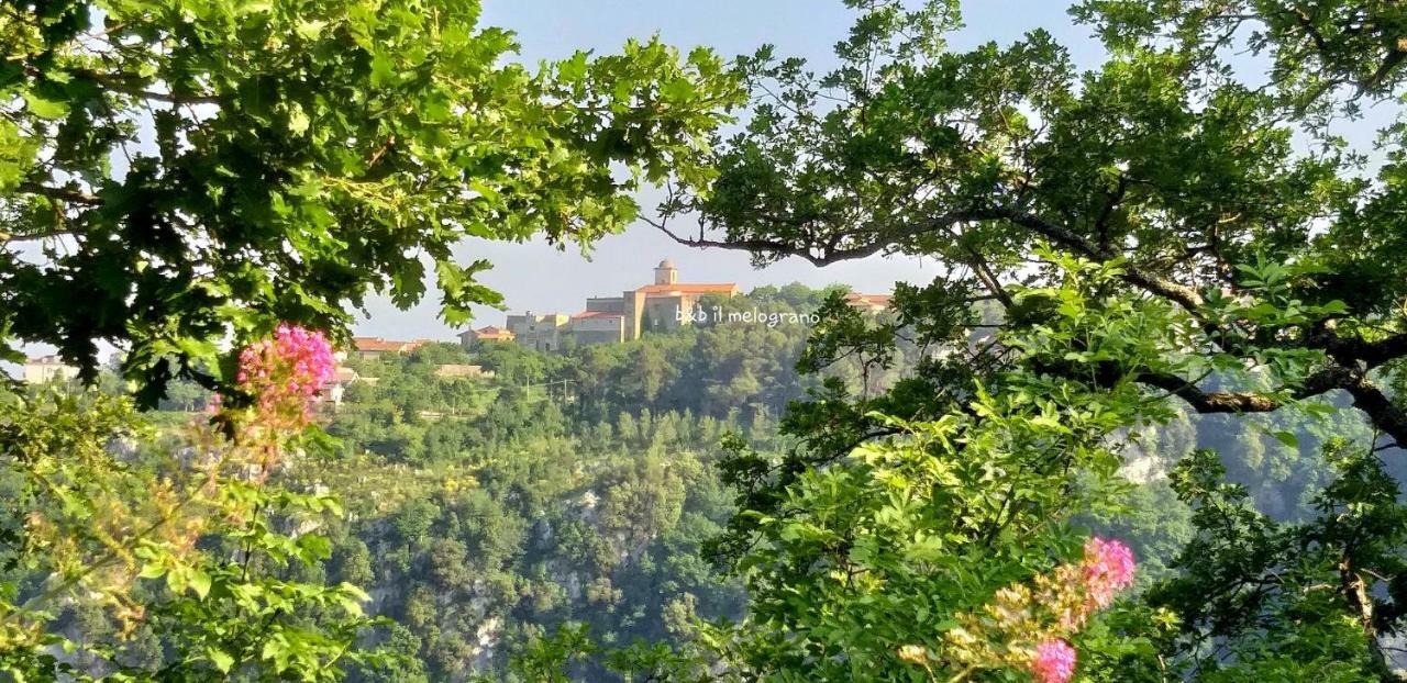 B&B Il Melograno Tortorella Zewnętrze zdjęcie