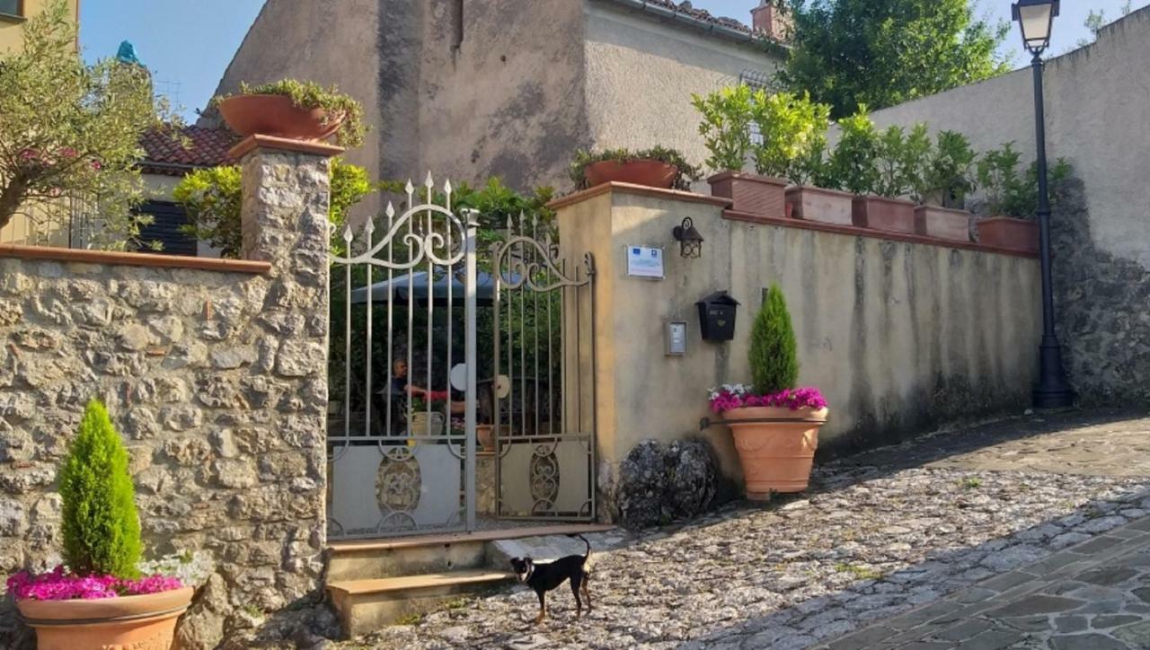 B&B Il Melograno Tortorella Zewnętrze zdjęcie