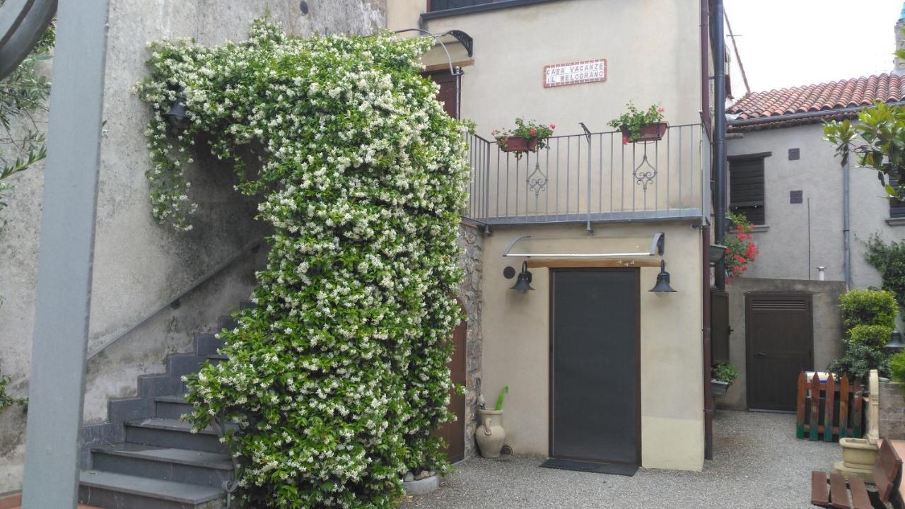 B&B Il Melograno Tortorella Zewnętrze zdjęcie
