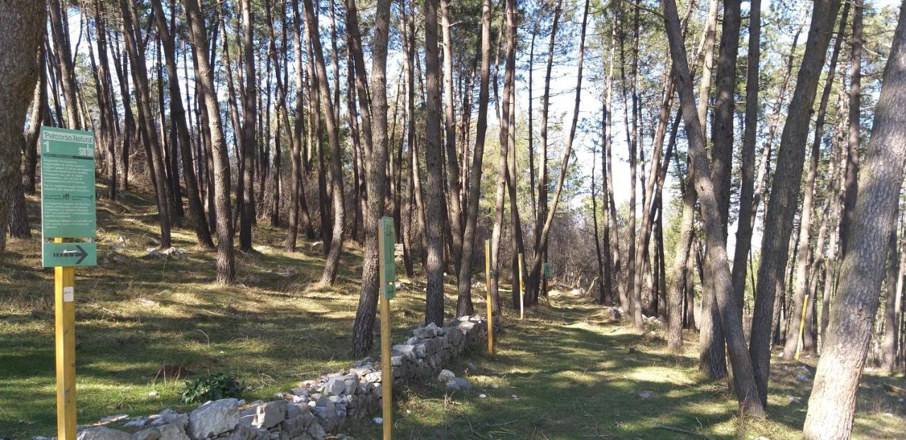 B&B Il Melograno Tortorella Zewnętrze zdjęcie